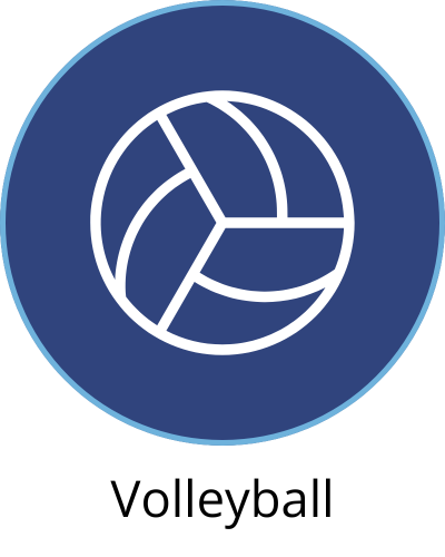 volleyball navy circle button NOT GRAY (png)